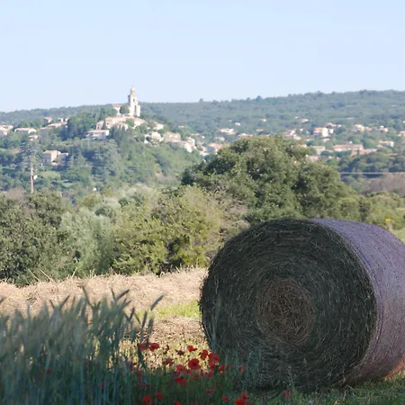 Etoile D'euria *