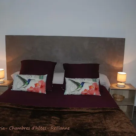Etoile D'euria * Reillanne